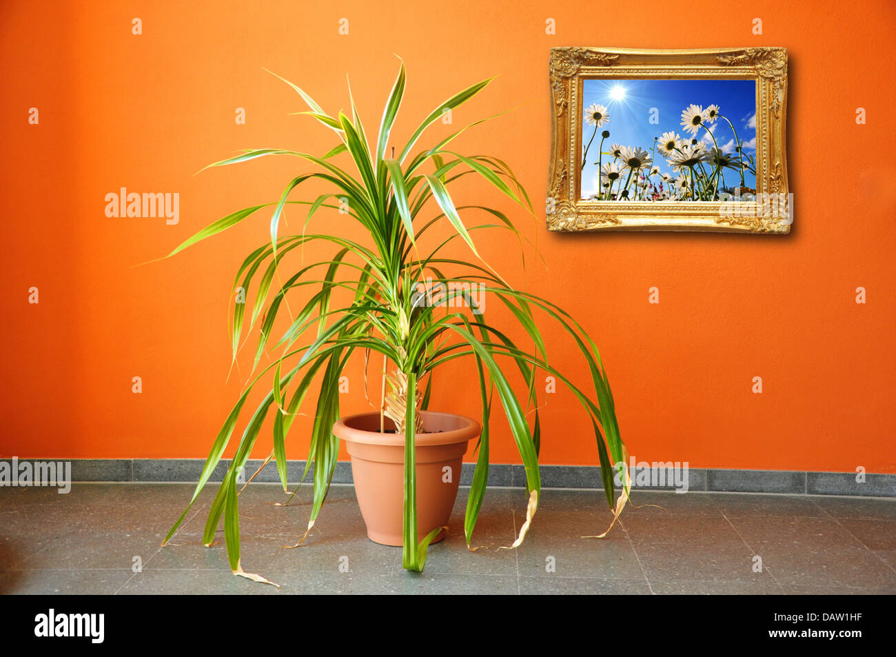 Immagine su una parete e pianta Foto Stock