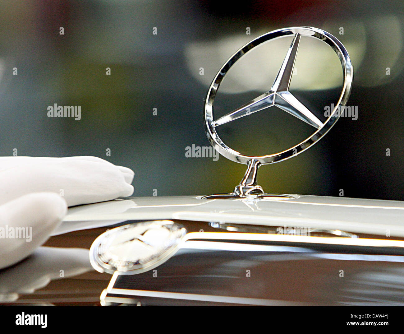 Un dipendente di costruttore DaimlerChrysler AG indossando i guanti di  cotone bianco fissa la famosa stella a tre punte con un anello normale Mercedes  Benz logo sul cofano motore di una Mercedes