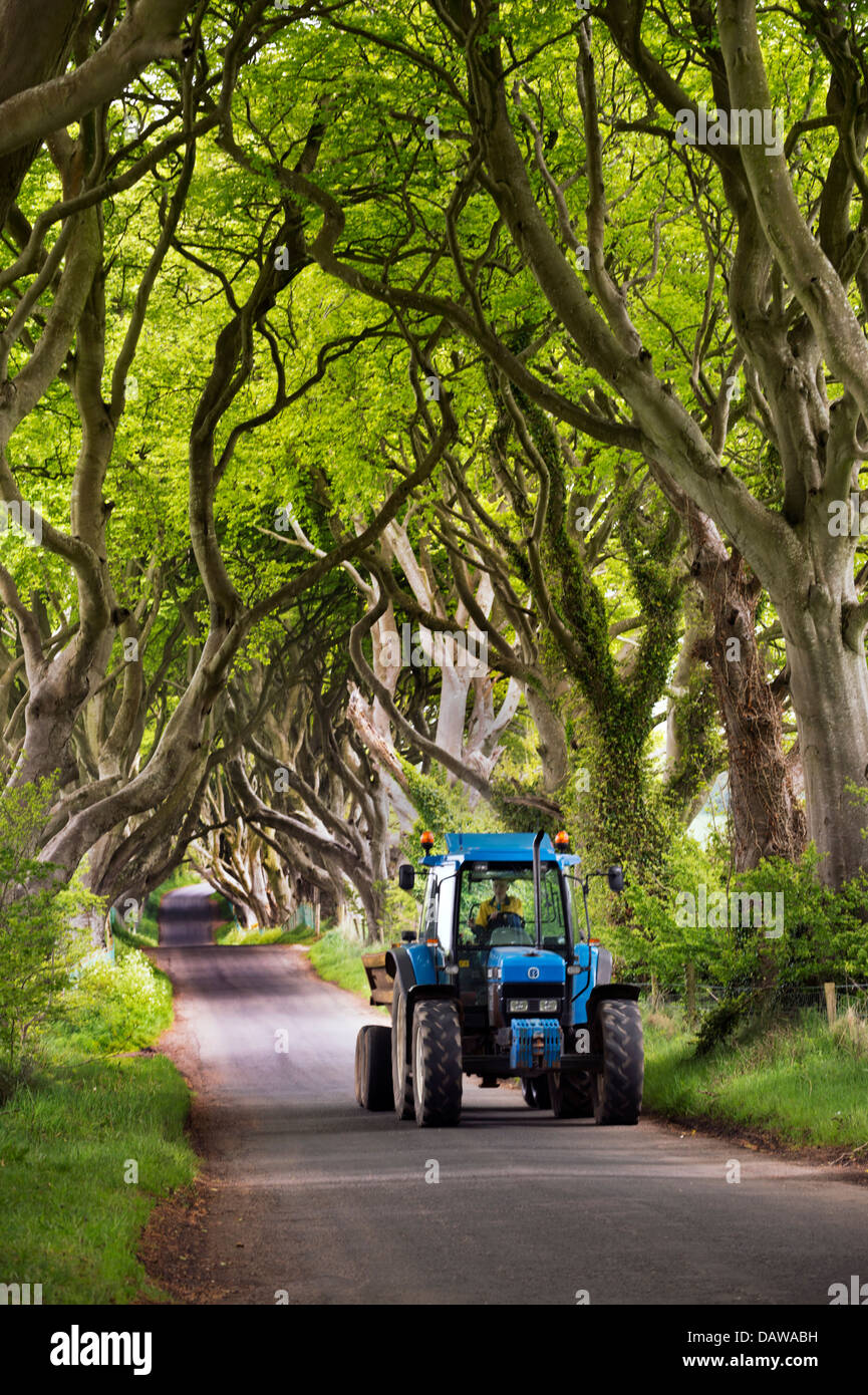 Il trattore si sposta attraverso il buio siepi, Bregagh Road, Ballymoney, County Antrim, Irlanda del Nord, Regno Unito Foto Stock