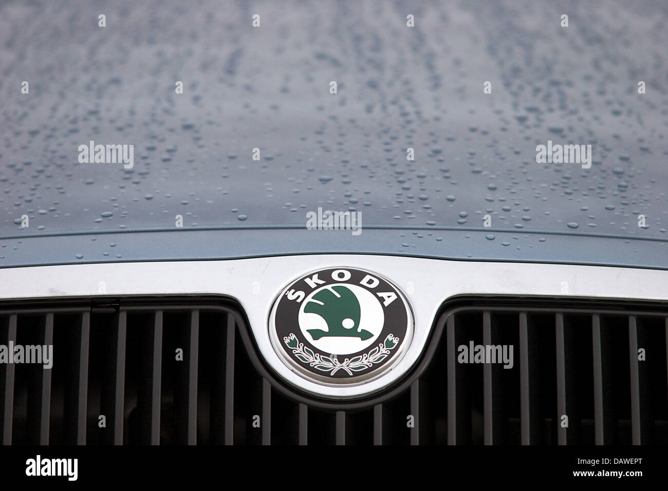 Il logo Skoda è raffigurato sulla calandra di un auto presso la Skoda stabilimento di Mlada Boleslav, Repubblica ceca, 19 marzo 2007. La Repubblica ceca il costruttore di auto Skoda è una filiale della tedesca del gruppo VW. Foto: Bjoern Steinz Foto Stock