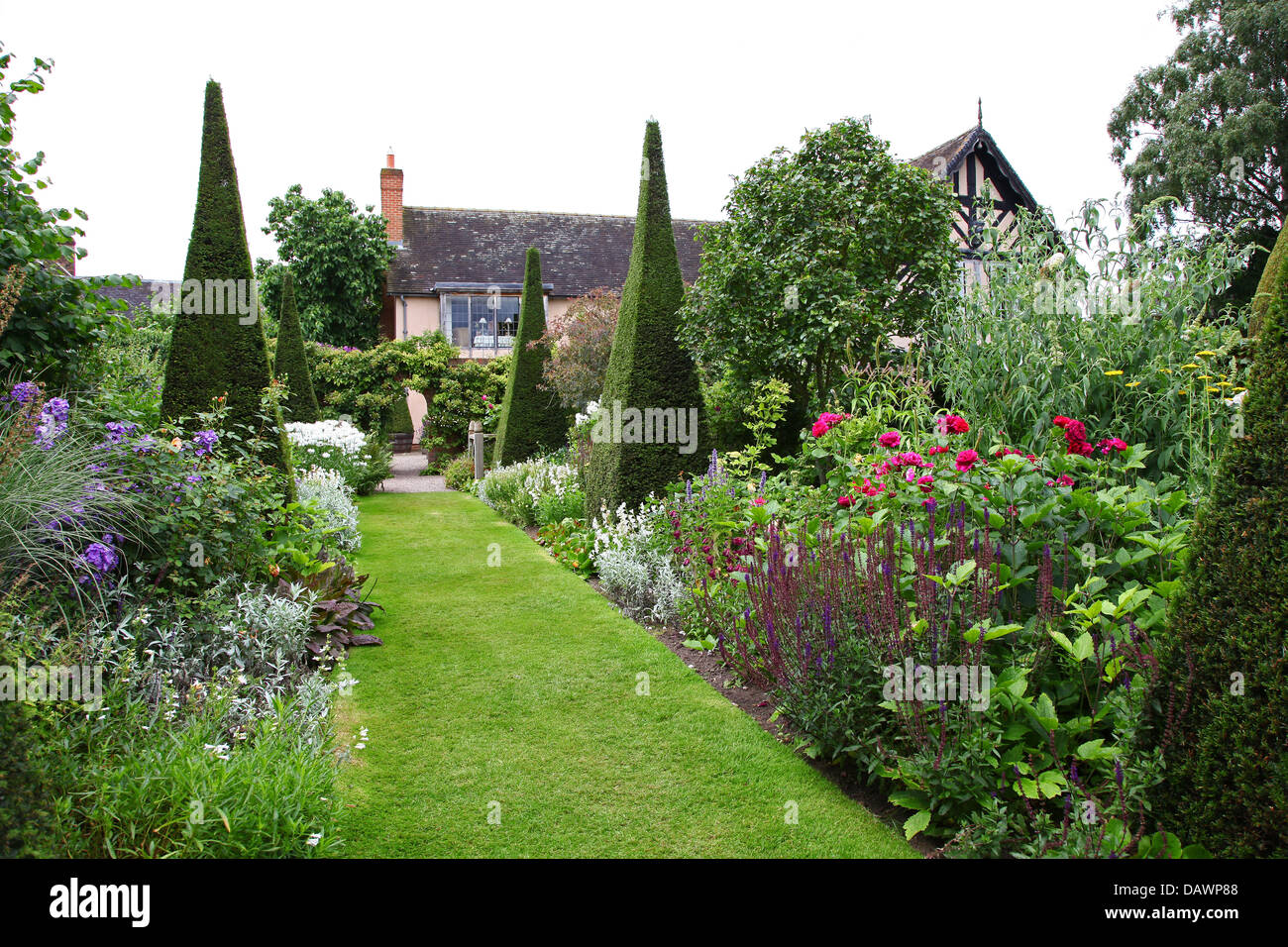 Ritagliato yew guglie del Yew a piedi a Wollerton Old Hall Giardini Giardino Wollerton Market Drayton Shropshire England Regno Unito Foto Stock