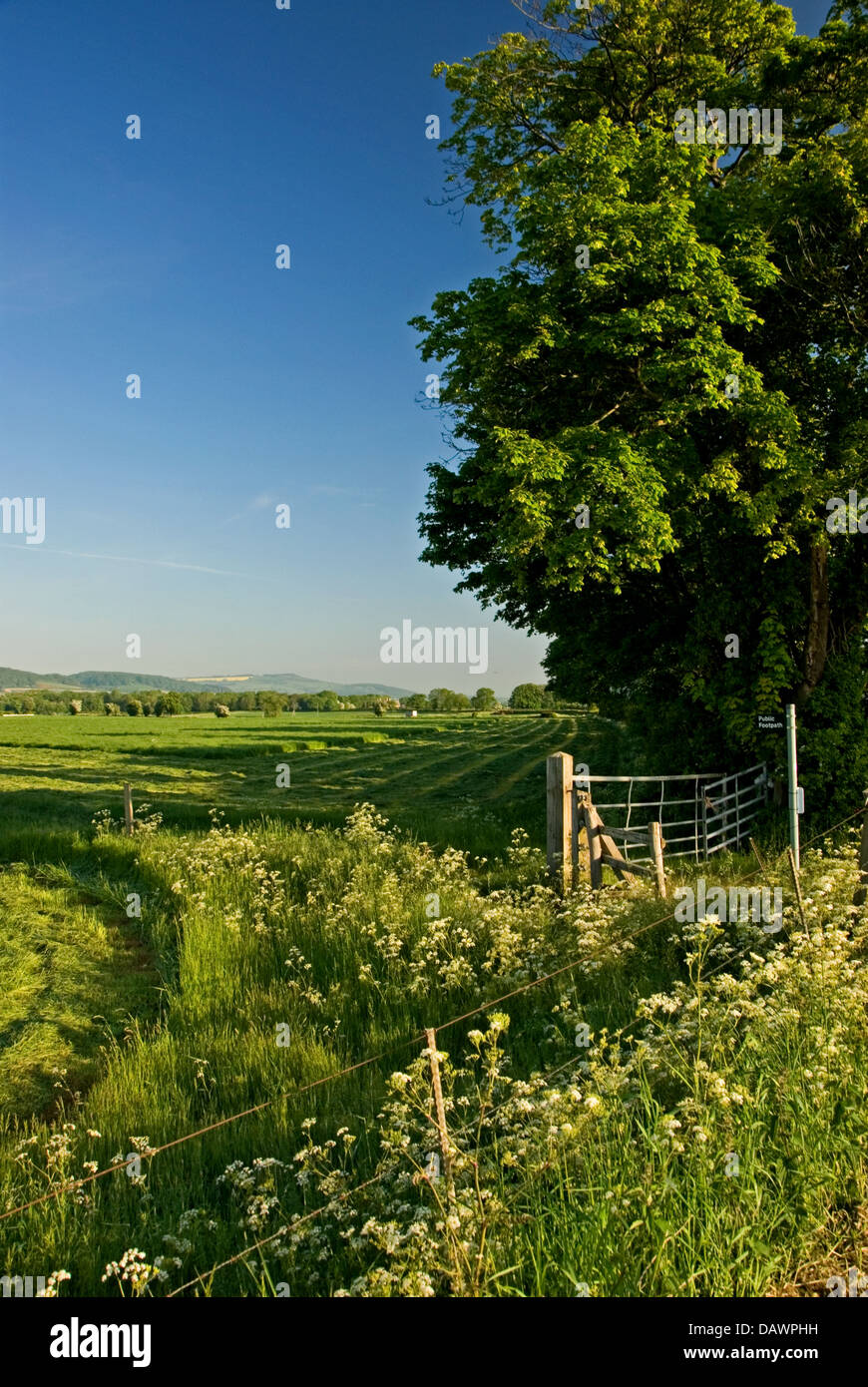 Un sentiero pubblico, accesso a stile e prato di erba falciata sotto un azzurro cielo senza nuvole in Cotswolds. Foto Stock
