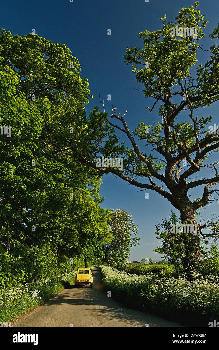 Un giallo auto viaggia lungo un vicolo del paese vicino a Toddington in Cotswolds Foto Stock