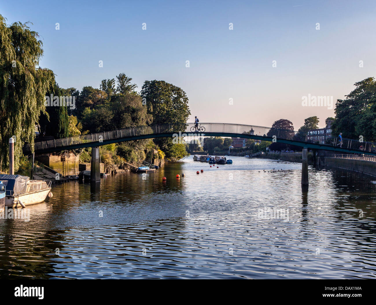 Vista sul Tamigi. Ciclista sulla passerella per l'isola di Eel Pie, accessibile solo da questo ponte o in barca - Twickenham, Londra, UK Foto Stock