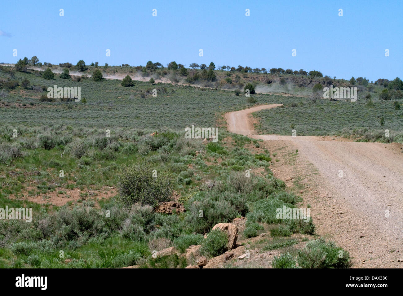 Il Owyhee Uplands Backcountry Byway, Owyhee County, Idaho, Stati Uniti d'America. Foto Stock