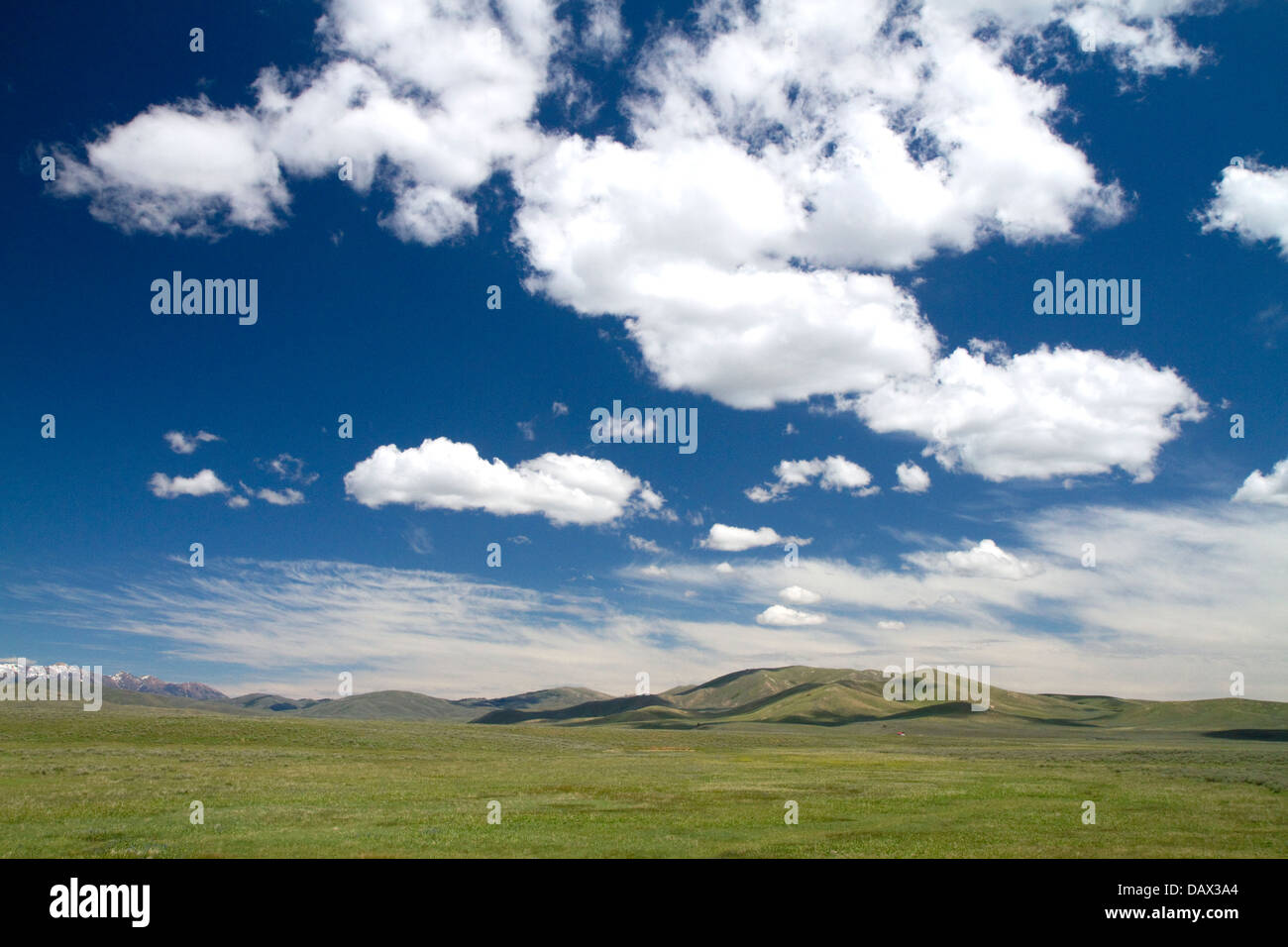 Cumulus nuvole e cielo blu su verdi campi nei pressi di pino, Idaho, Stati Uniti d'America. Foto Stock
