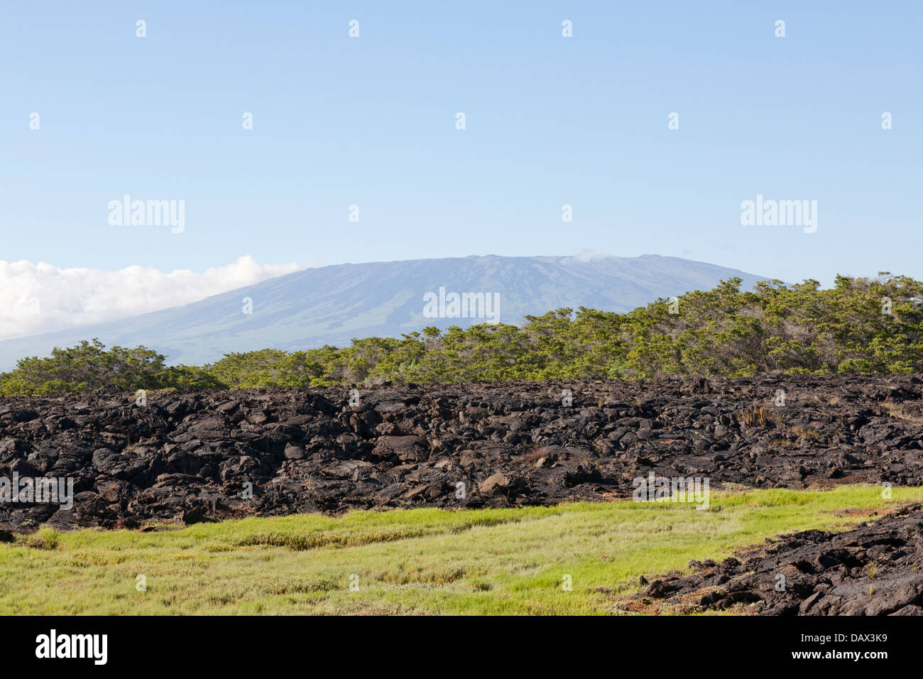 Il vulcano Sierra Negra, Punta Moreno, Isabela Island, Isole Galapagos, Ecuador Foto Stock