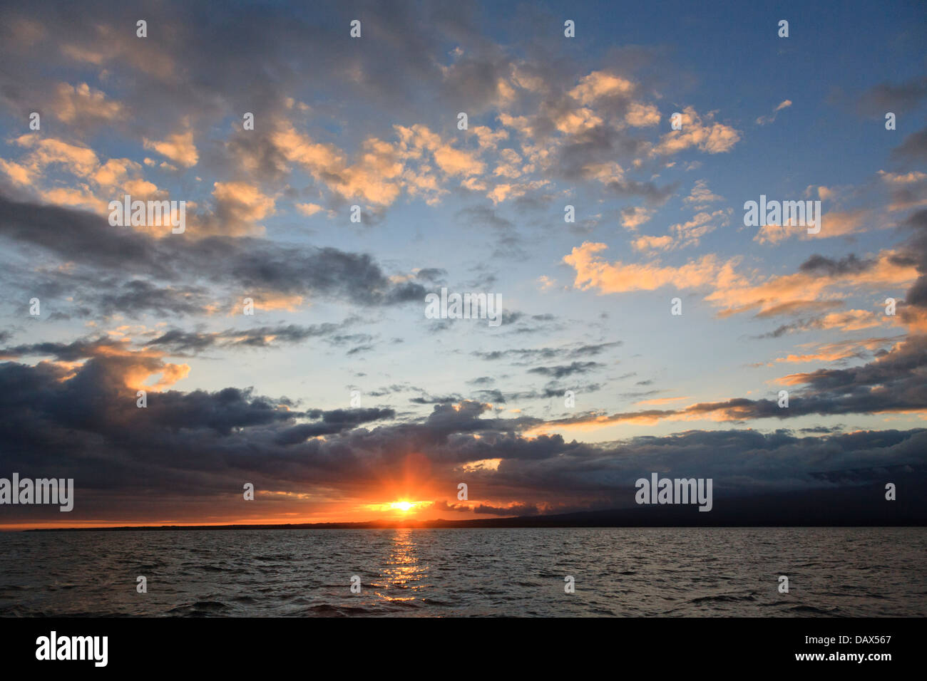 Sunset, Punta Mangle, Fernandina Island, Isole Galapagos, Ecuador Foto Stock