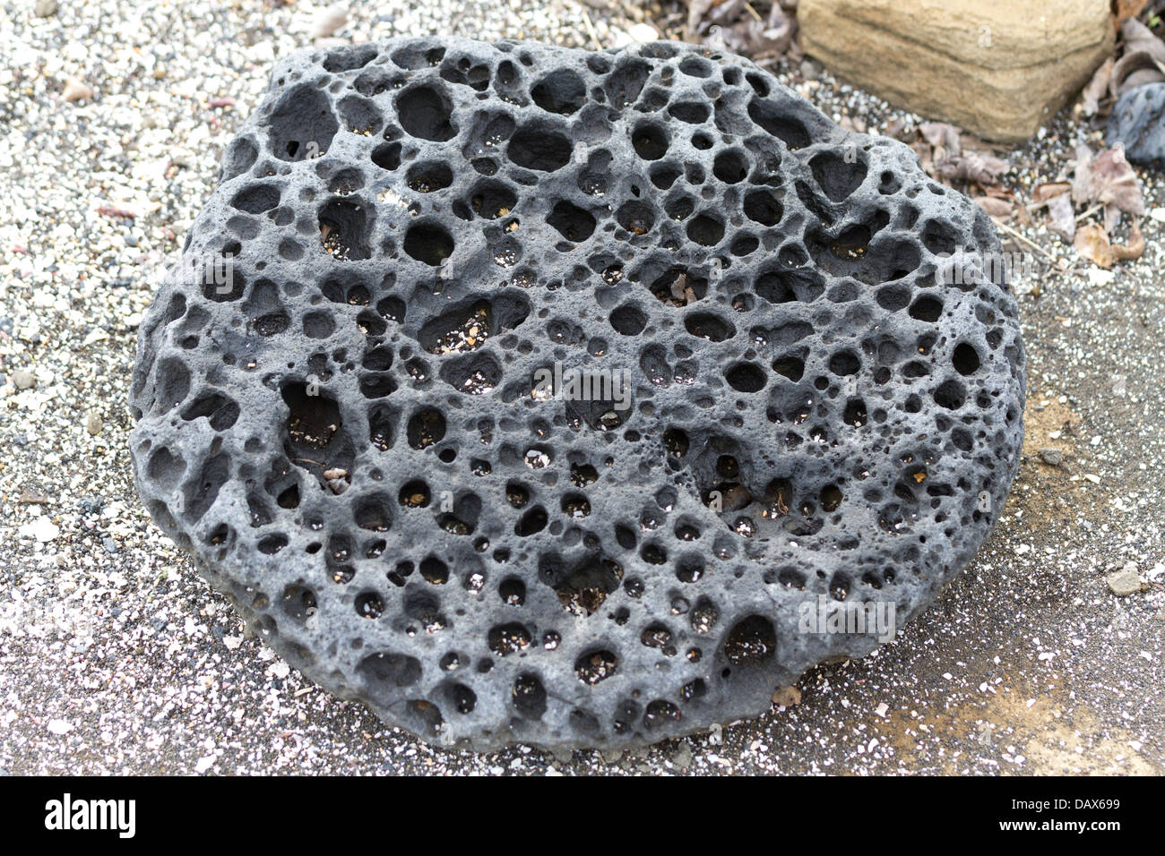 Roccia lavica, Puerto Egas, isola di Santiago, Isole Galapagos, Ecuador Foto Stock