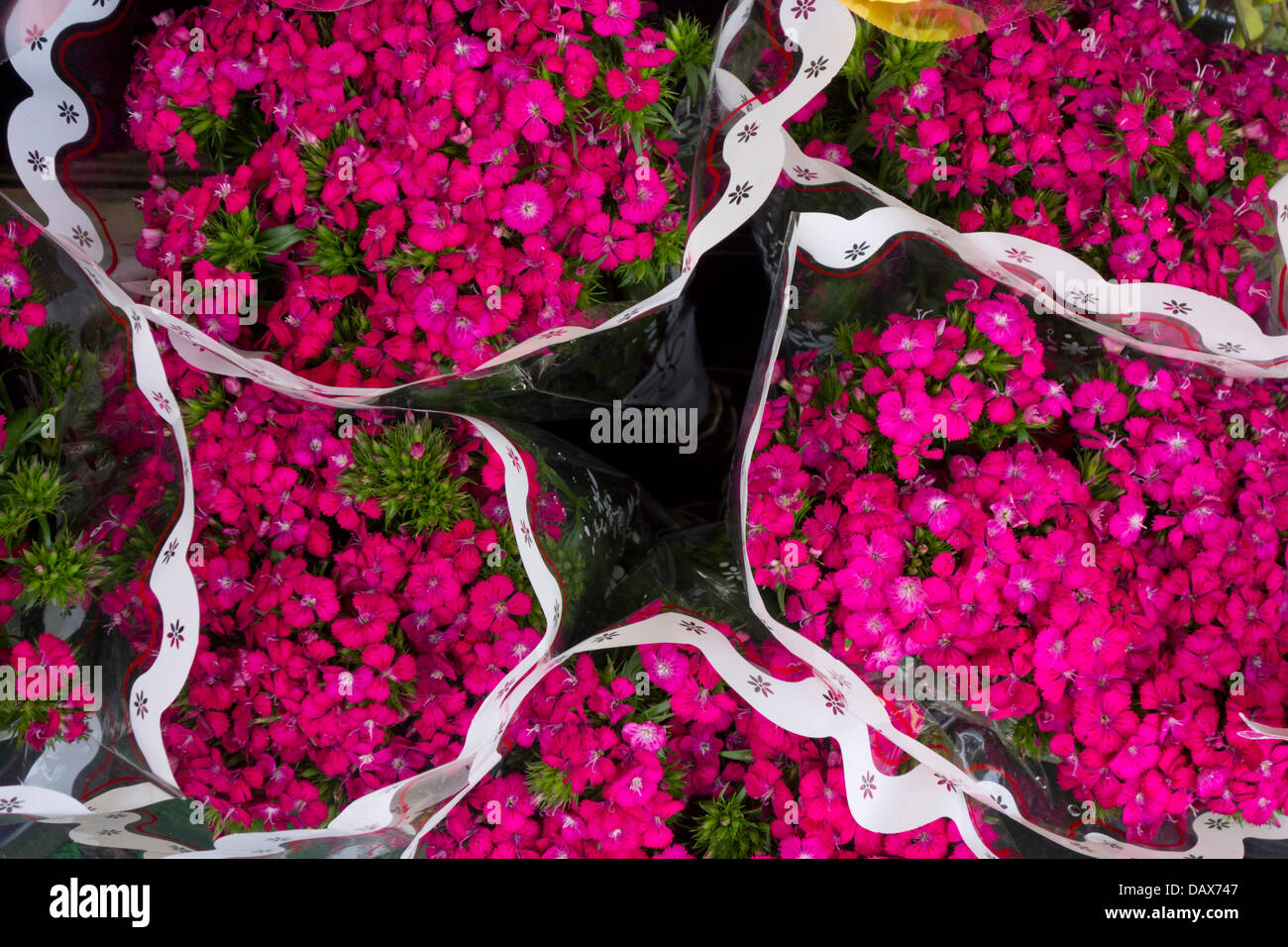 Bouquet di fiori di colore rosa Foto Stock