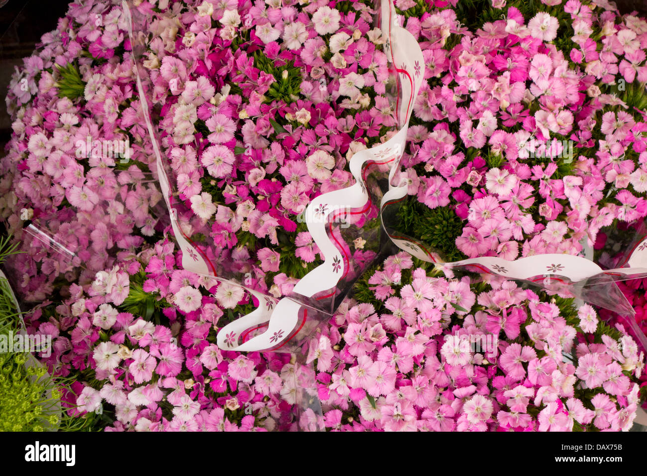 Bouquet di fiori di colore rosa Foto Stock