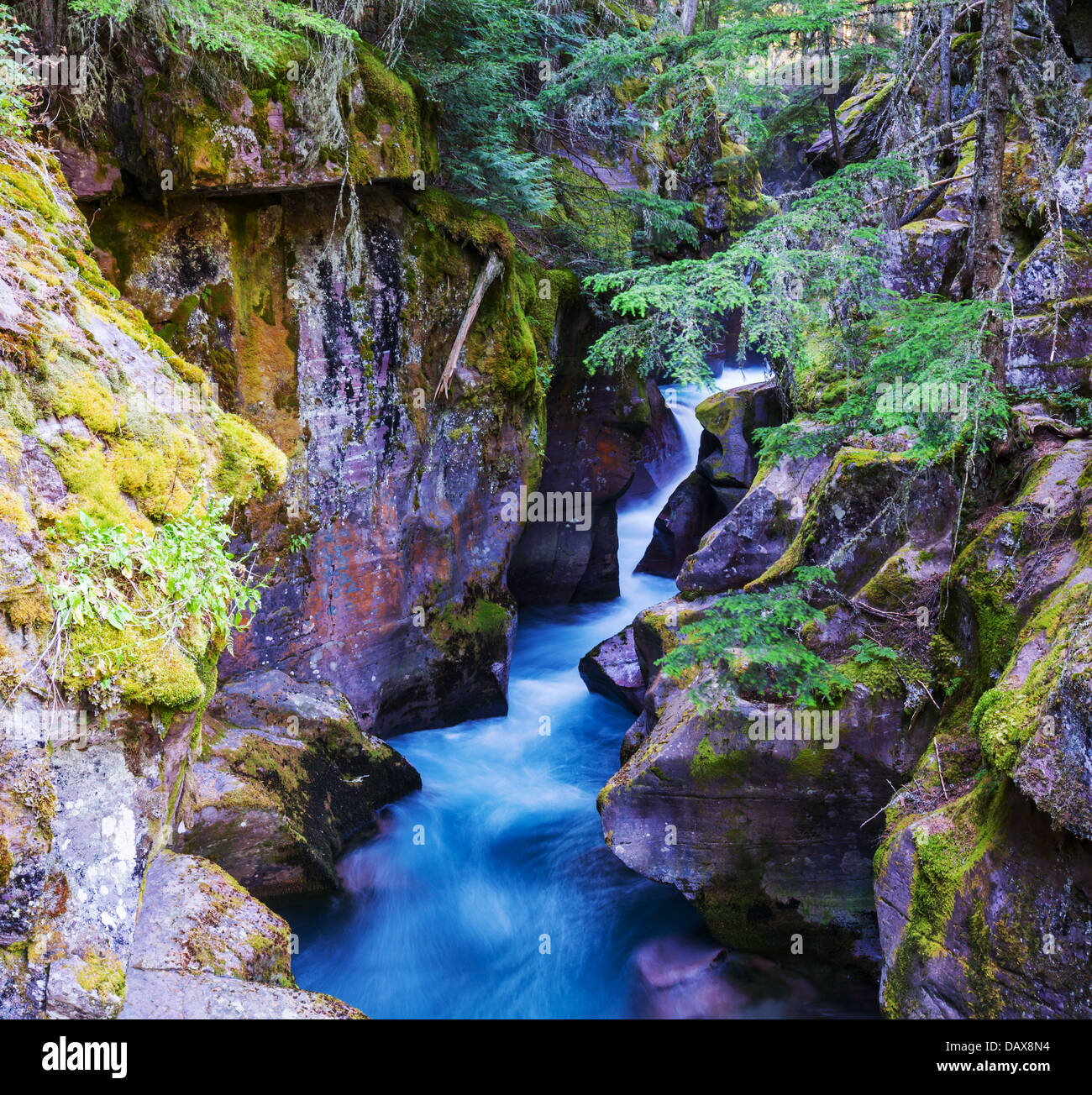 La cascata nel bosco Foto Stock