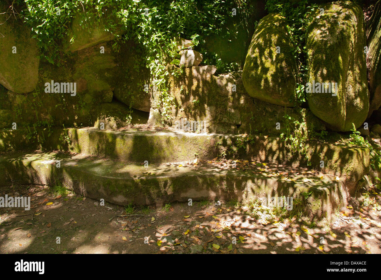 Giardini di Sintra, pena, curvando il sedile in pietra in pezzata luce e ombre in foglia Foto Stock