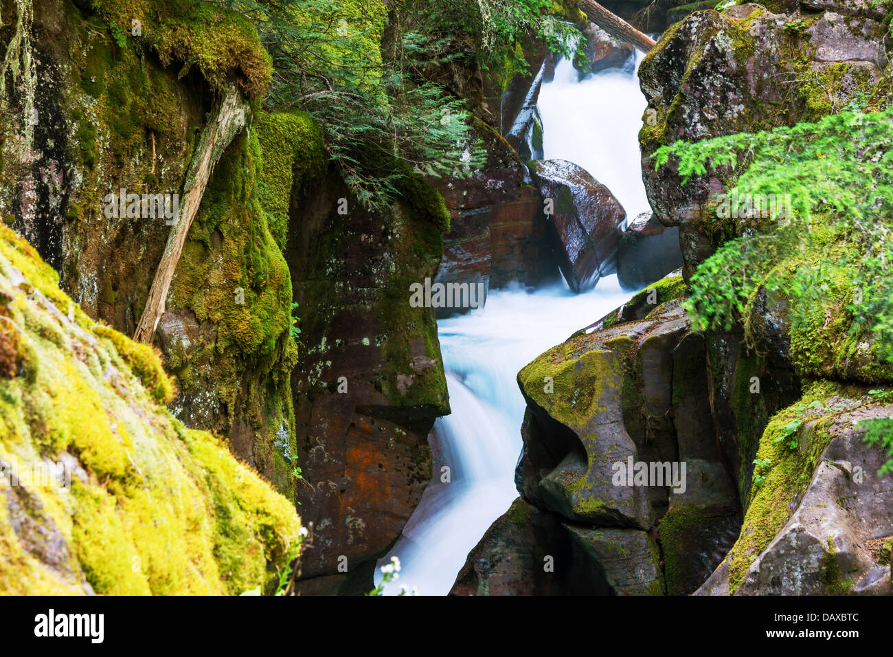 La cascata nel bosco Foto Stock