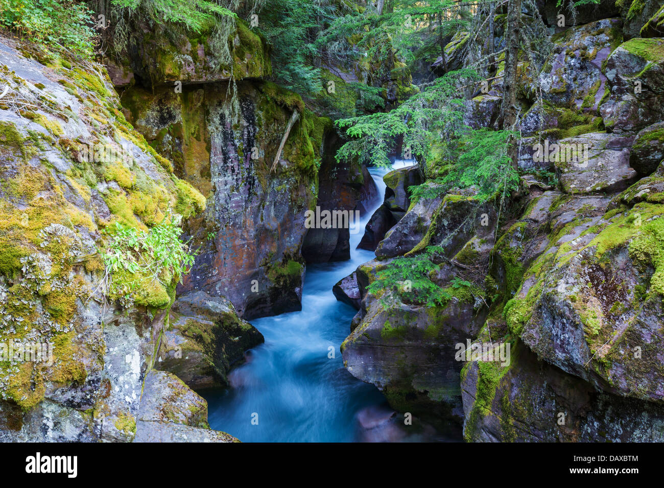 La cascata nel bosco Foto Stock