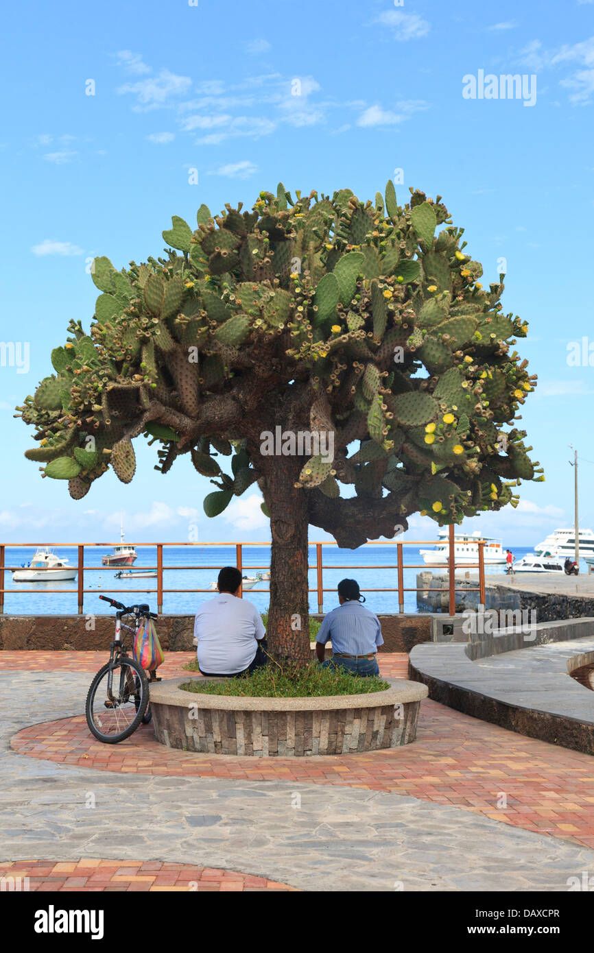 Puerto Baquerizo Moreno, San Cristobal Island, Isole Galapagos, Ecuador Foto Stock