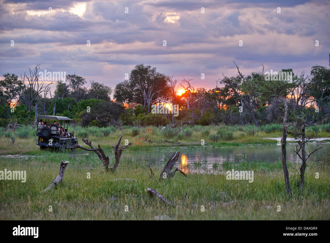 Safari auto durante il tramonto in Chitabe, Okavango Delta, Botswana, Africa Foto Stock