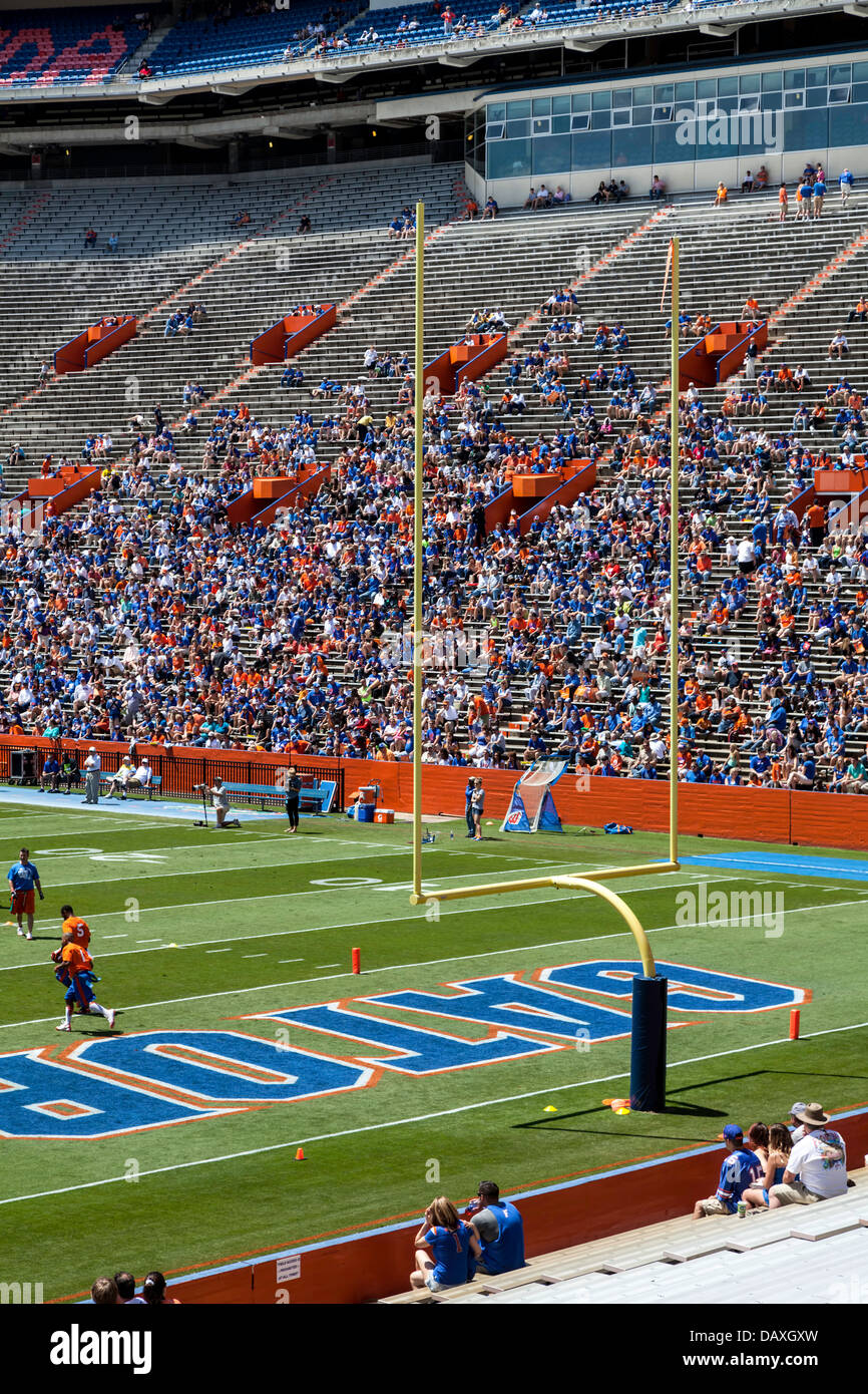 UF Gator 2013 molla annuale arancio e blu del gioco del calcio nel Ben Hill Griffin Stadium Florida campo a.k.a. la palude. Foto Stock