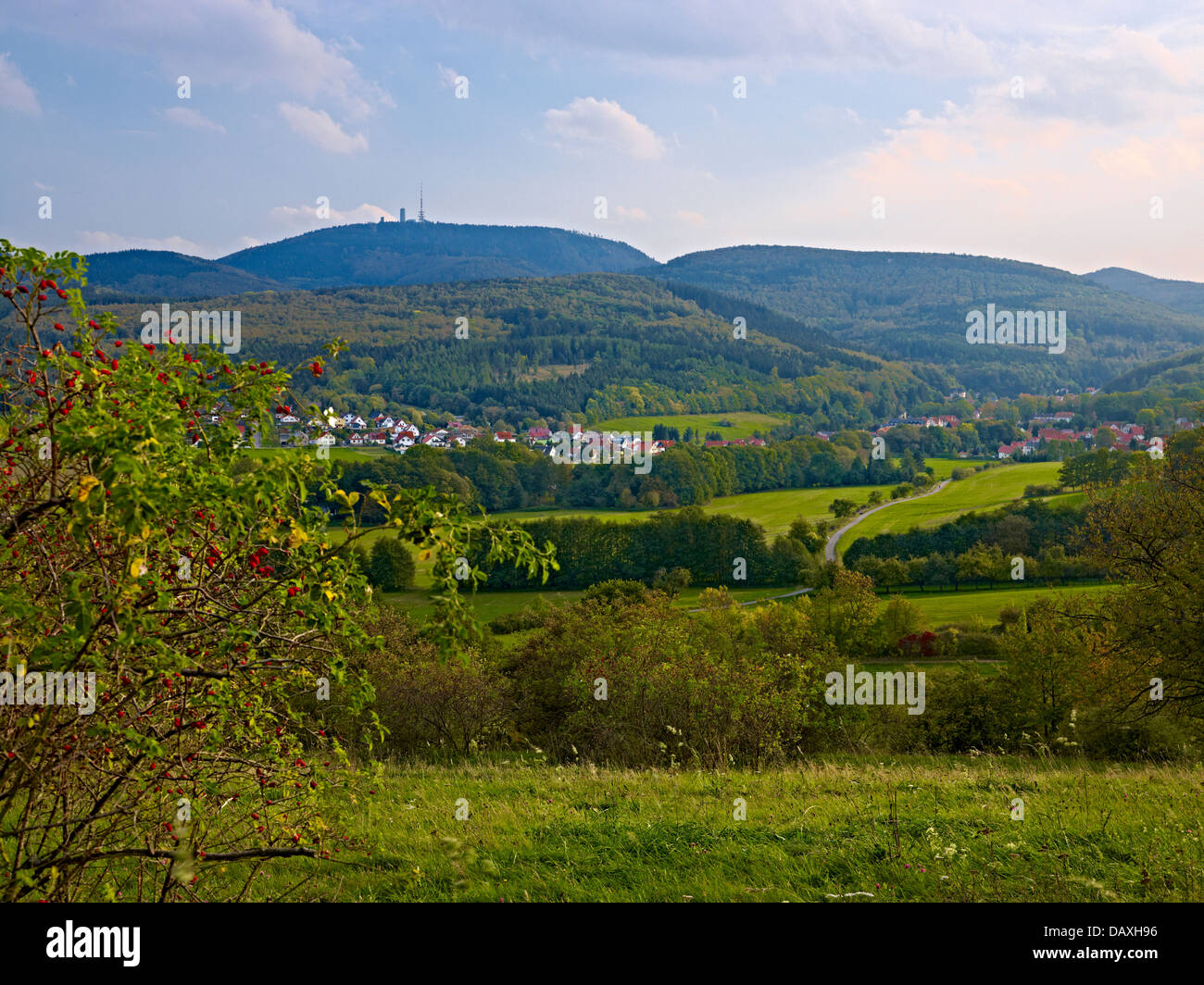 Inselsberg montagna vicino a Winterstein, Turingia, Germania Foto Stock