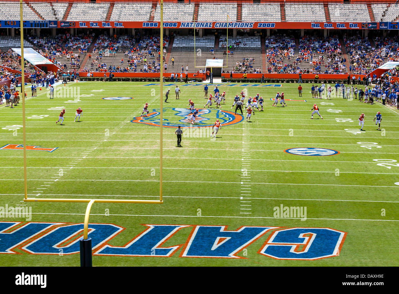 UF Gator 2013 molla annuale arancio e blu del gioco del calcio nel Ben Hill Griffin Stadium Florida campo a.k.a. la palude. Foto Stock
