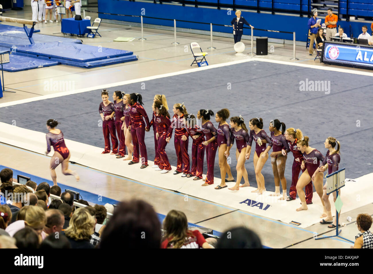 Alabama Crimson Tide donna della squadra di ginnastica fare il tifo per i compagni di vaulting concorrente durante l incontro con l'Università di Florida (2-8-13) Foto Stock