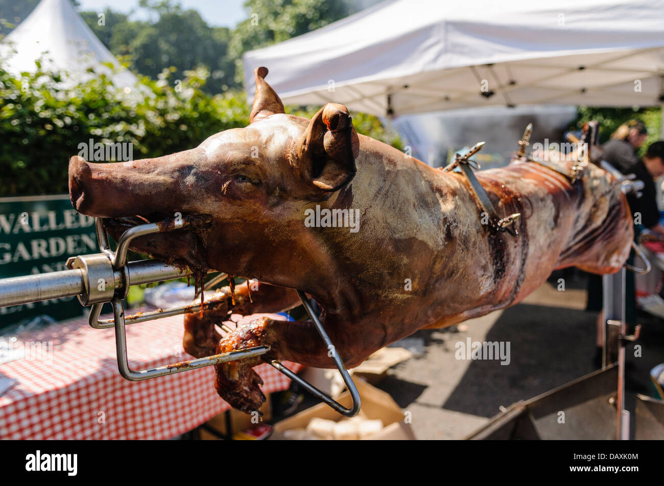 Arrosto di maiale allo spiedo dopo cotti Foto Stock