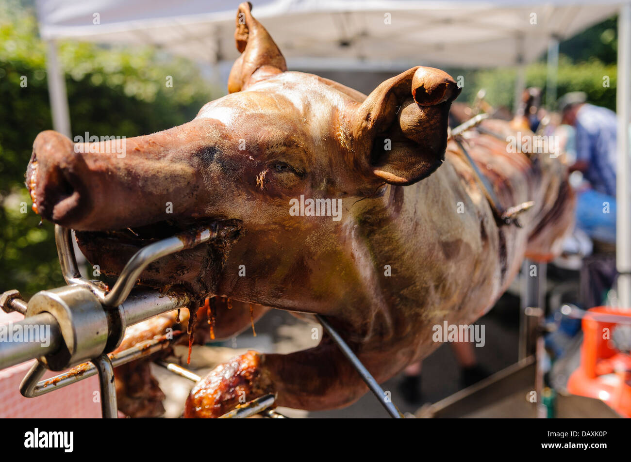 Arrosto di maiale allo spiedo dopo cotti Foto Stock