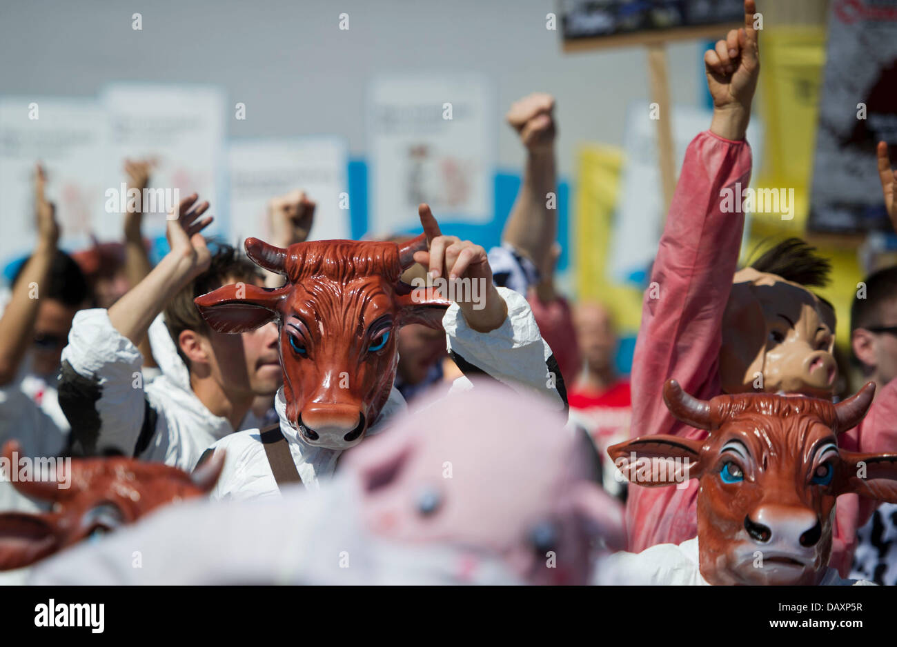 Berlino, Germania. Il 20 luglio, 2013. I vegetariani vestito di latte di mucca e di costumi di maiale protesta contro il terzo Veggie Parade contro il consumo di prodotti di origine animale. Foto: OLE SPATA/dpa/Alamy Live News Foto Stock