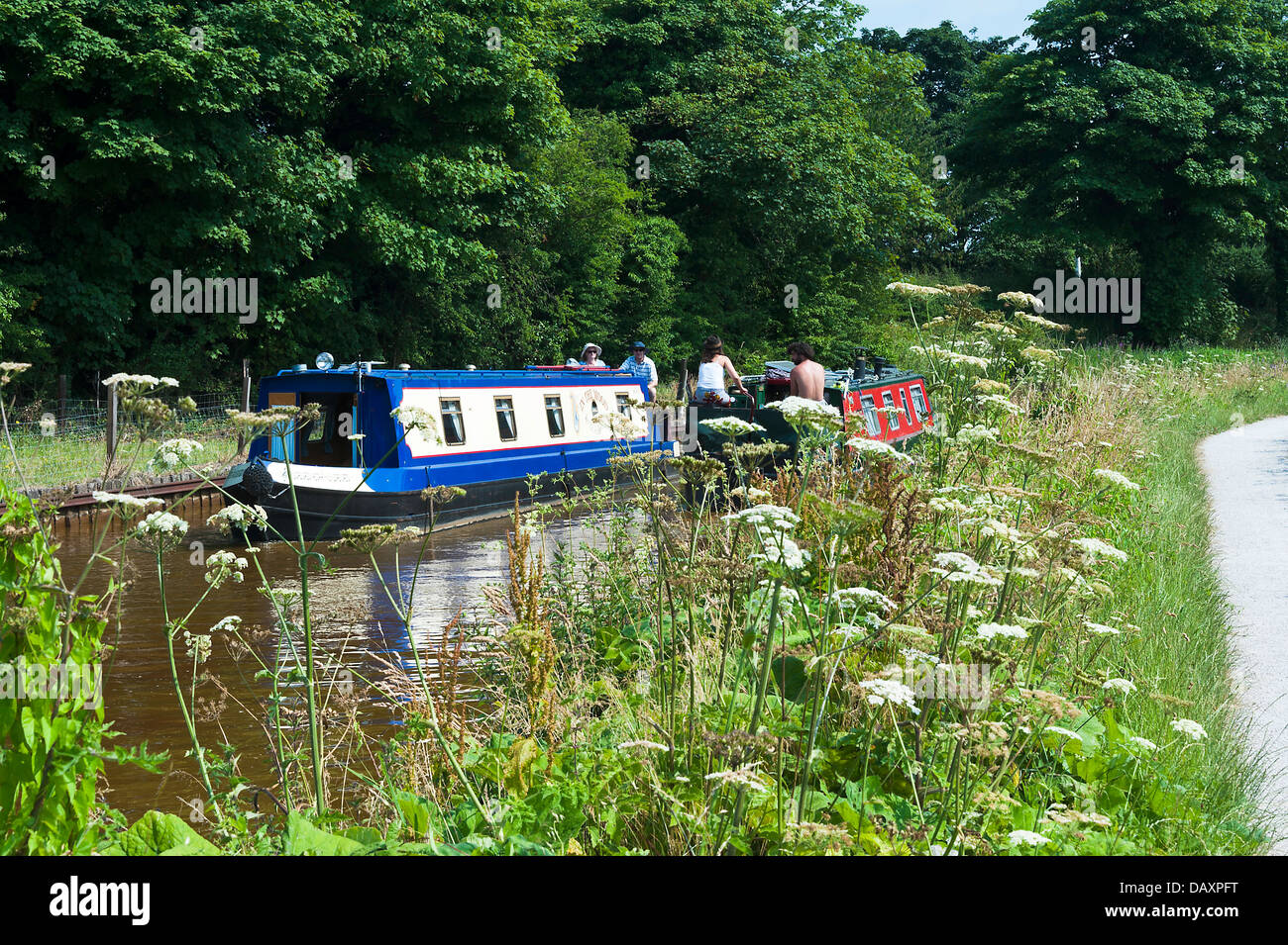 Barche stretta passando sui Trent e Mersey Canal vicino Rode Heath Cheshire England Regno Unito Regno Unito Foto Stock
