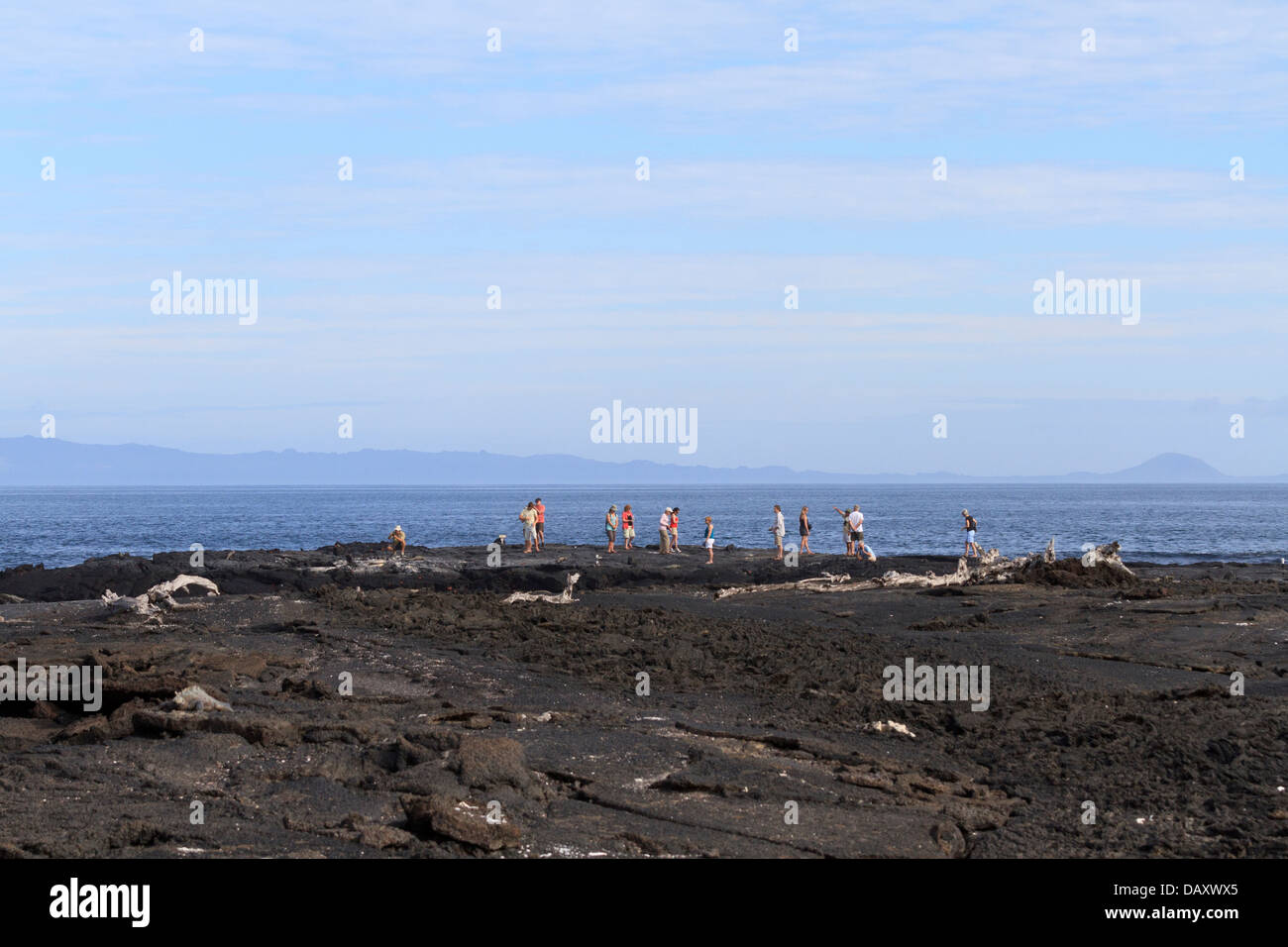 Gruppo guidate, Punta Espinoza, Fernandina Island, Isole Galapagos, Ecuador Foto Stock