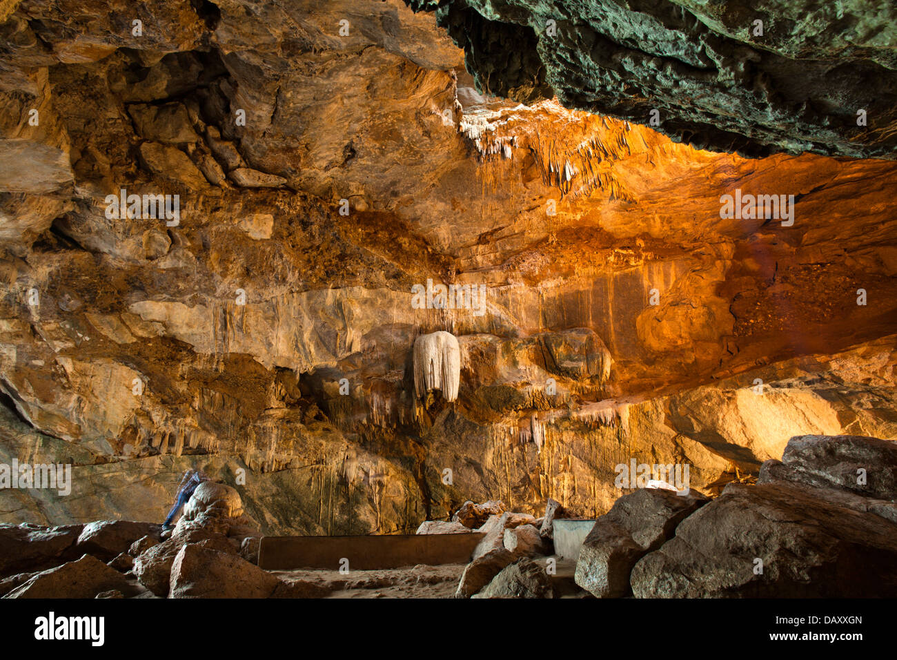 Gli interni di una grotta, Borra Grotte, Ananthagiri colline, Araku Valley, Visakhapatnam, Andhra Pradesh, India Foto Stock