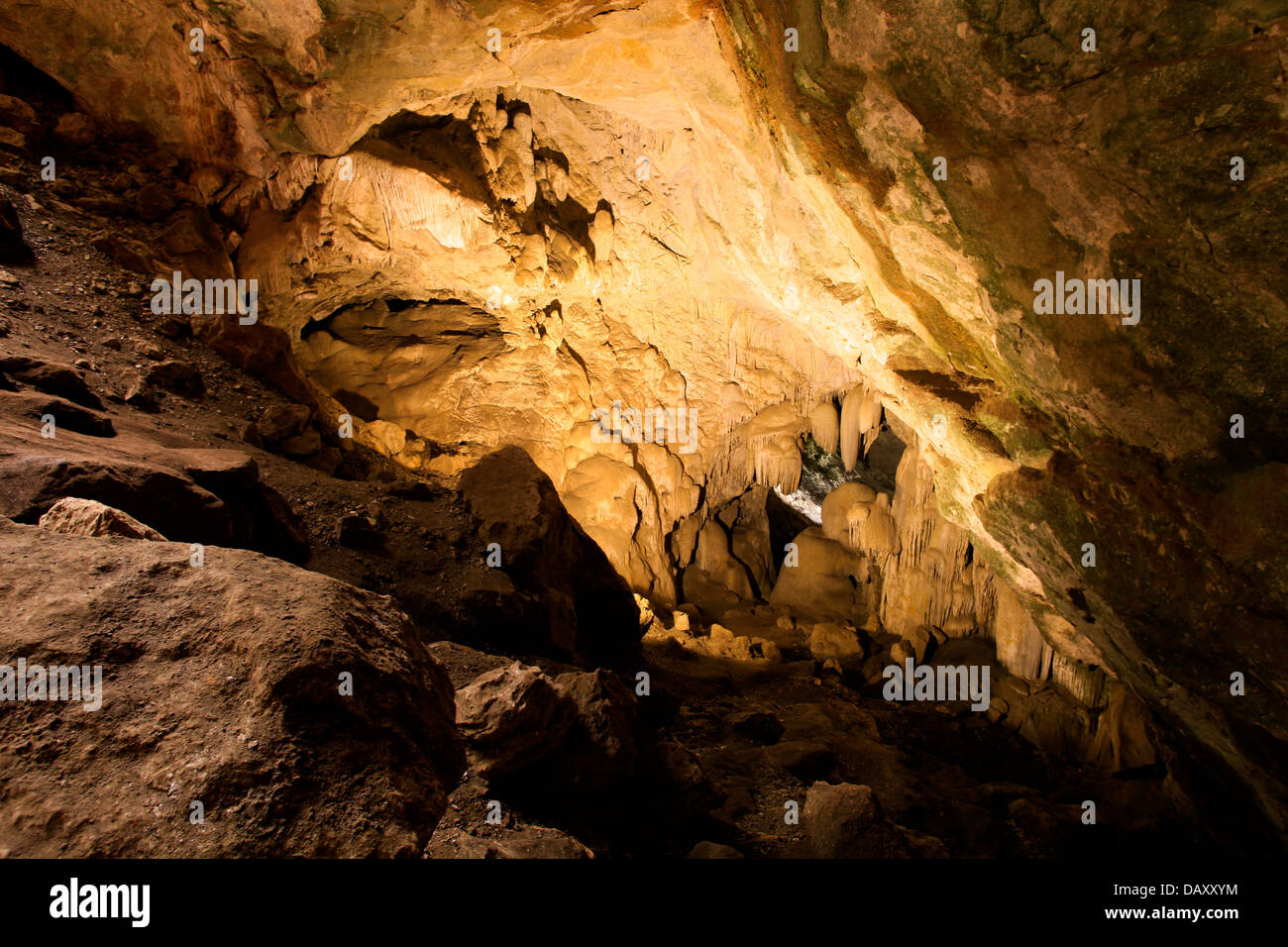 Gli interni di una grotta, Borra Grotte, Ananthagiri colline, Araku Valley, Visakhapatnam, Andhra Pradesh, India Foto Stock