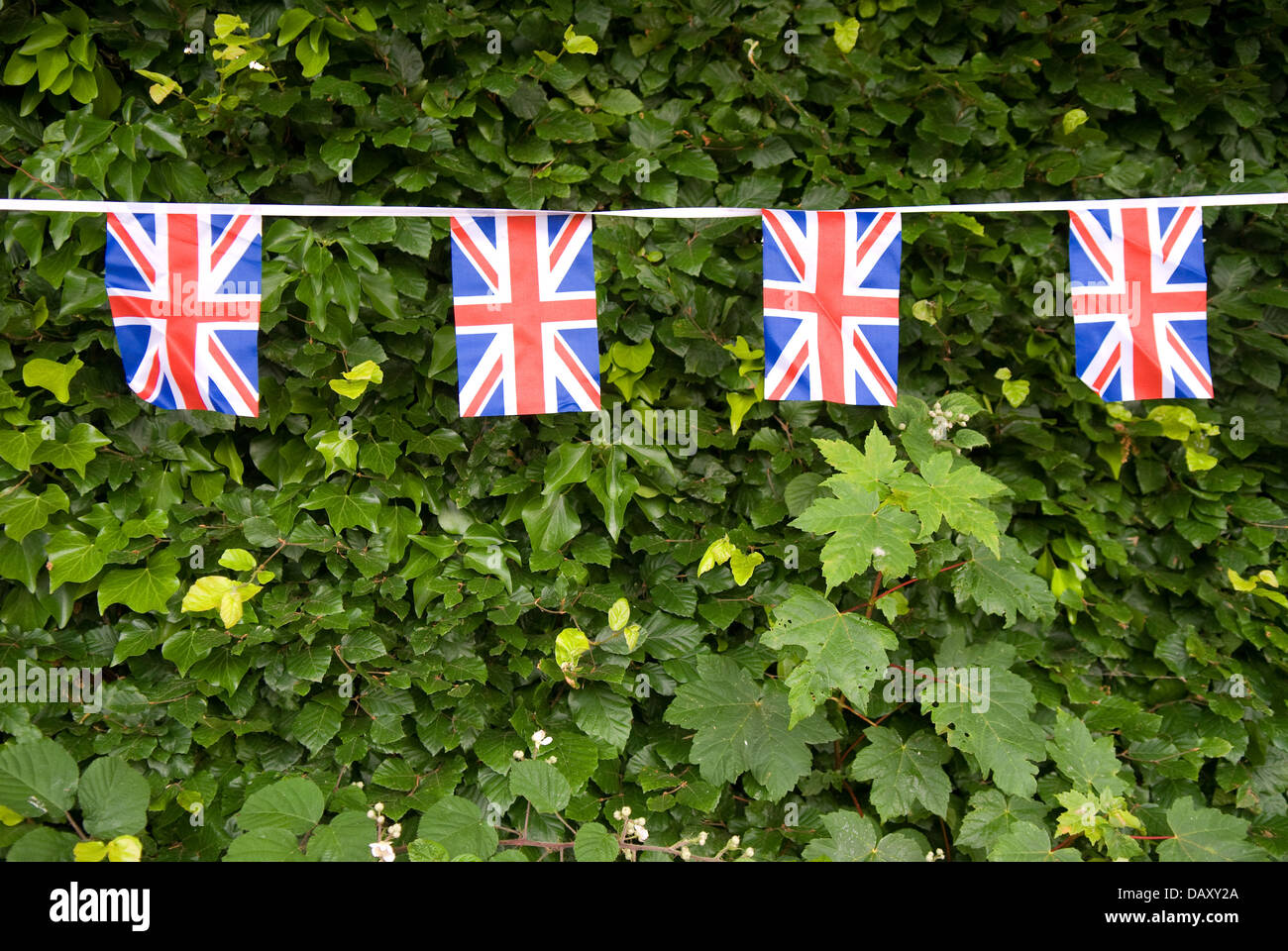 Union Jack Flag su hedge per worldham village fete, hampshire, Regno Unito. domenica 14 luglio 2013. Foto Stock