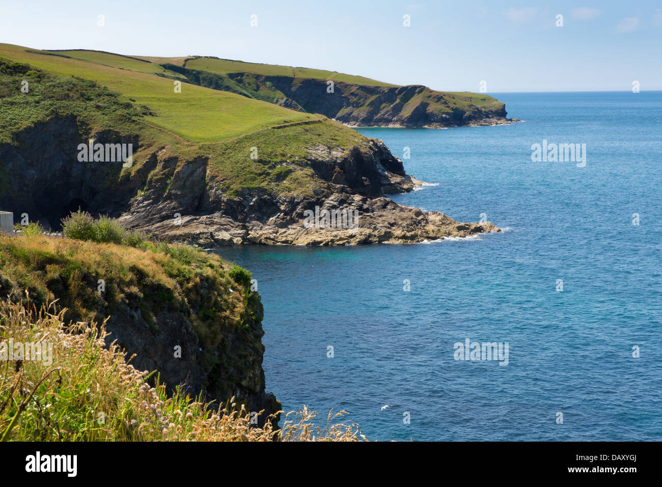 Cornovaglia costa a Port Isaac in direzione di Inghilterra a Padstow Regno Unito in una giornata di sole Foto Stock