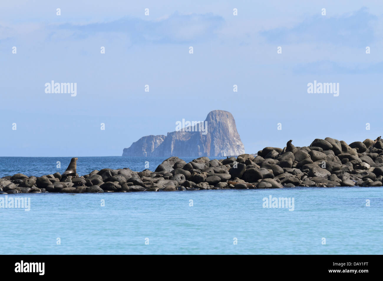 Escursione in barca a Isla Lobos, San Cristobal Island, Isole Galapagos, Ecuador Foto Stock