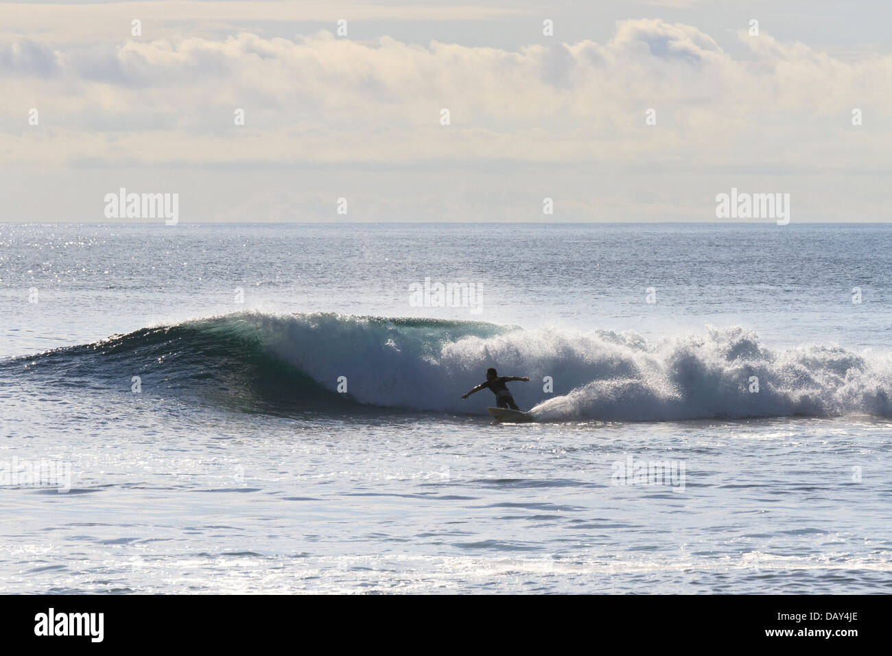 Surfer, La Loberia, Spiaggia, San Cristobal Island, Isole Galapagos, Ecuador Foto Stock