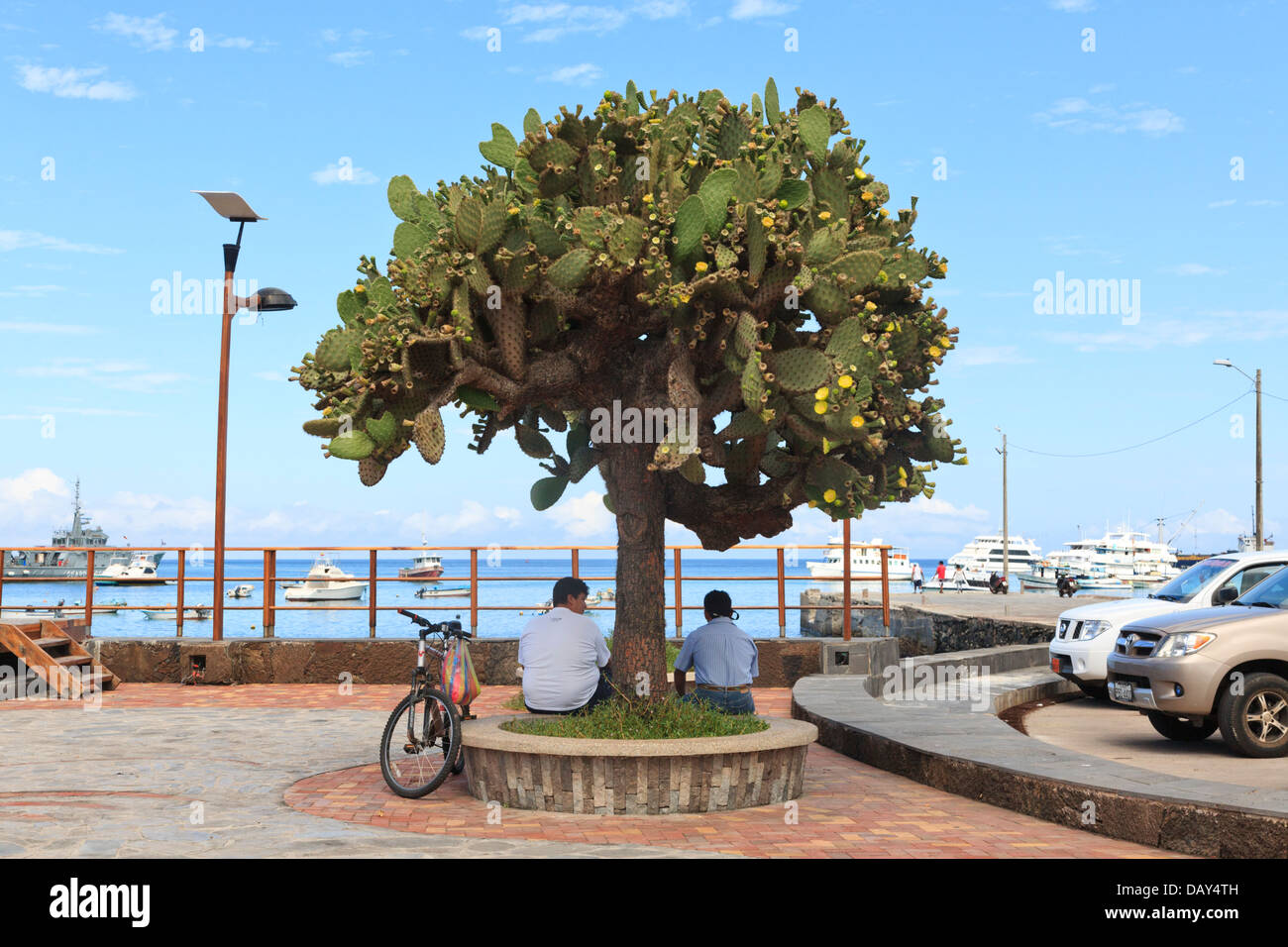 Puerto Baquerizo Moreno, San Cristobal Island, Isole Galapagos, Ecuador Foto Stock