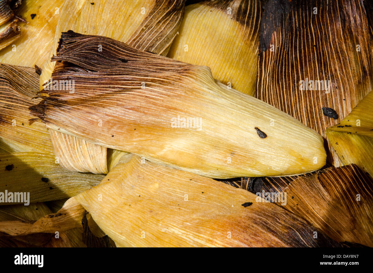 Tradizionale cibo Peruviano.Humitas. Foto Stock