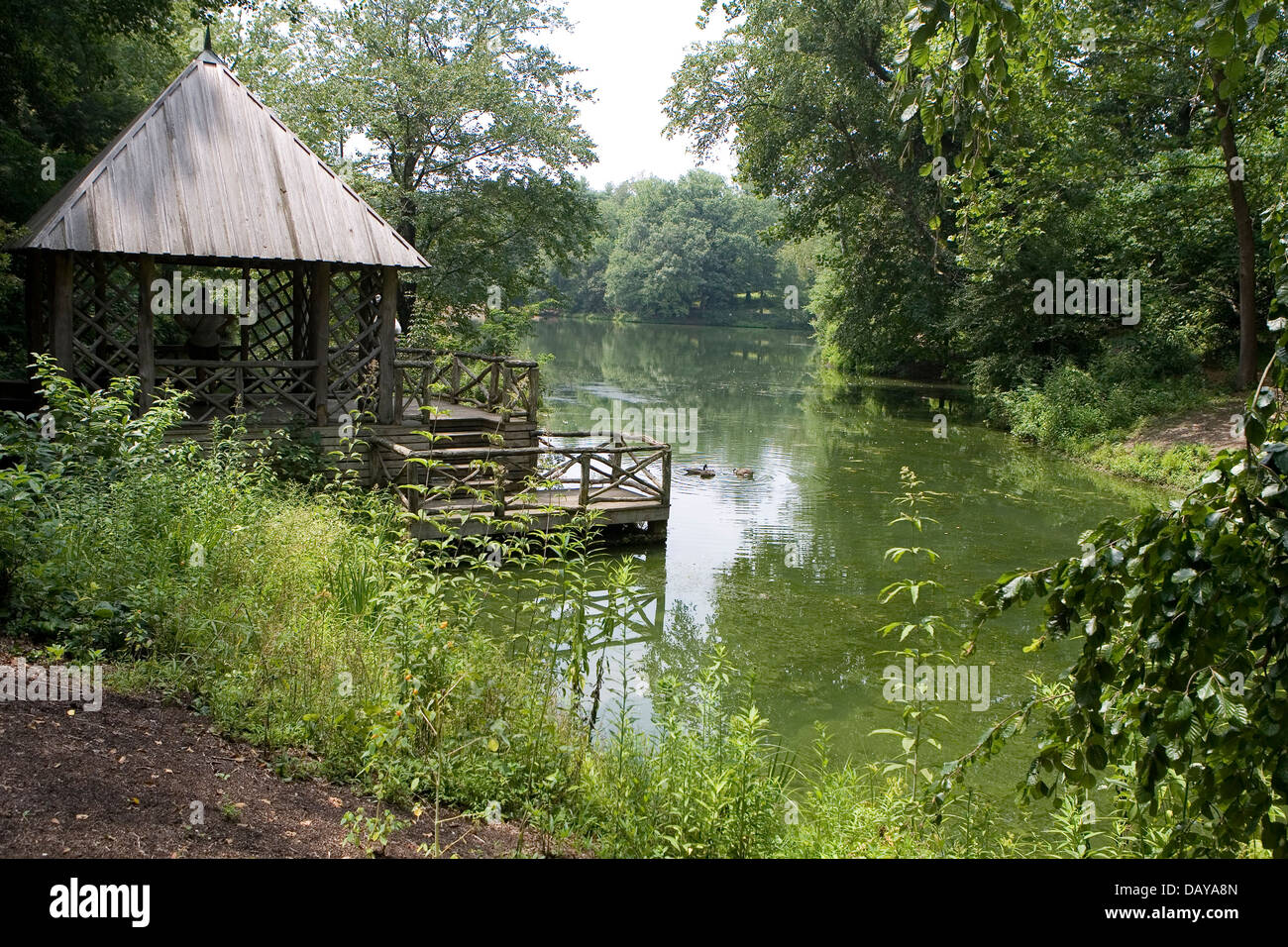 Bass pond, Biltmore Estate, North Carolina, Stati Uniti d'America Foto Stock