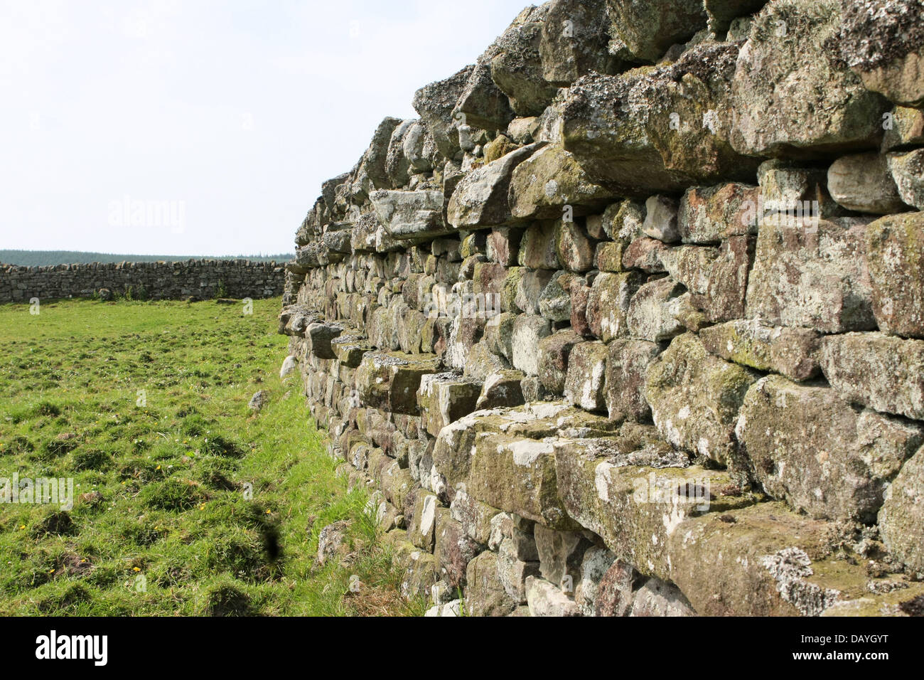 Stile Northumbrian secca di muro di pietra con il rafforzamento attraverso le pietre Foto Stock