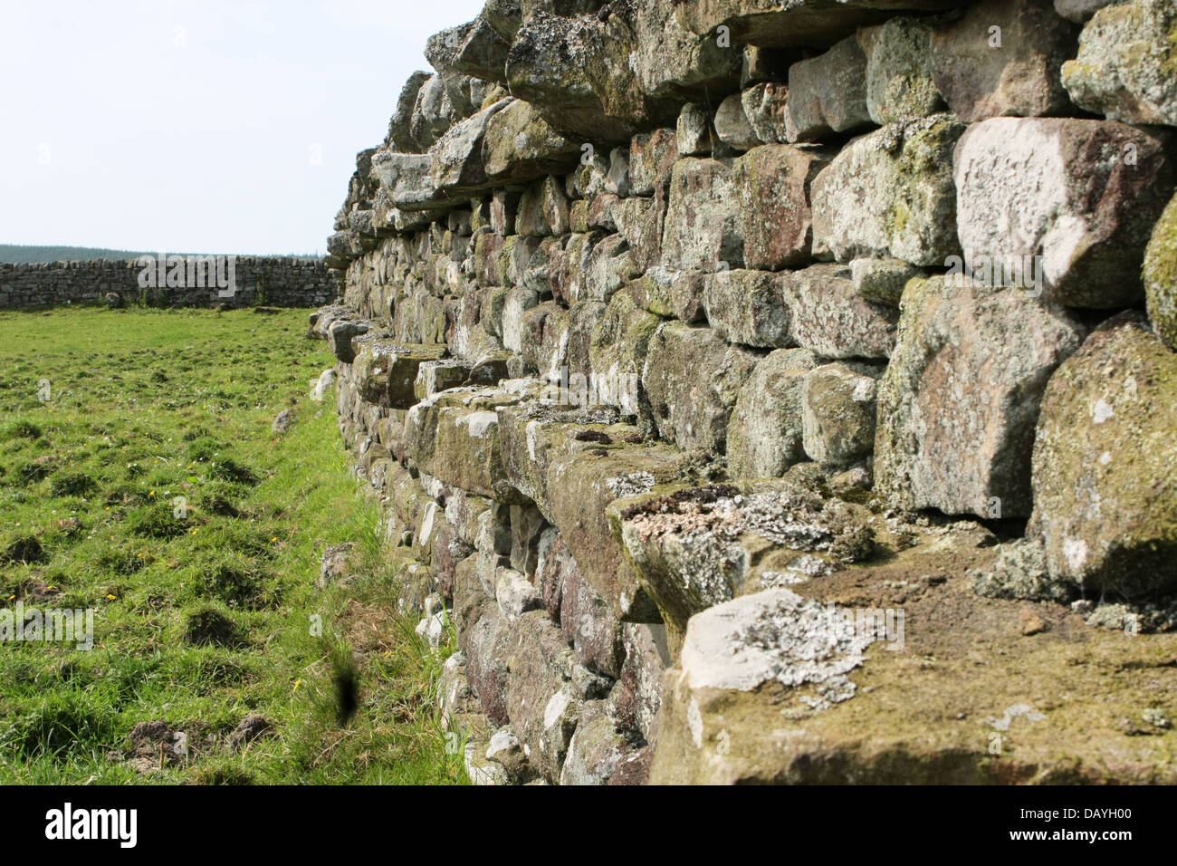 Stile Northumbrian secca di muro di pietra con il rafforzamento attraverso le pietre Foto Stock