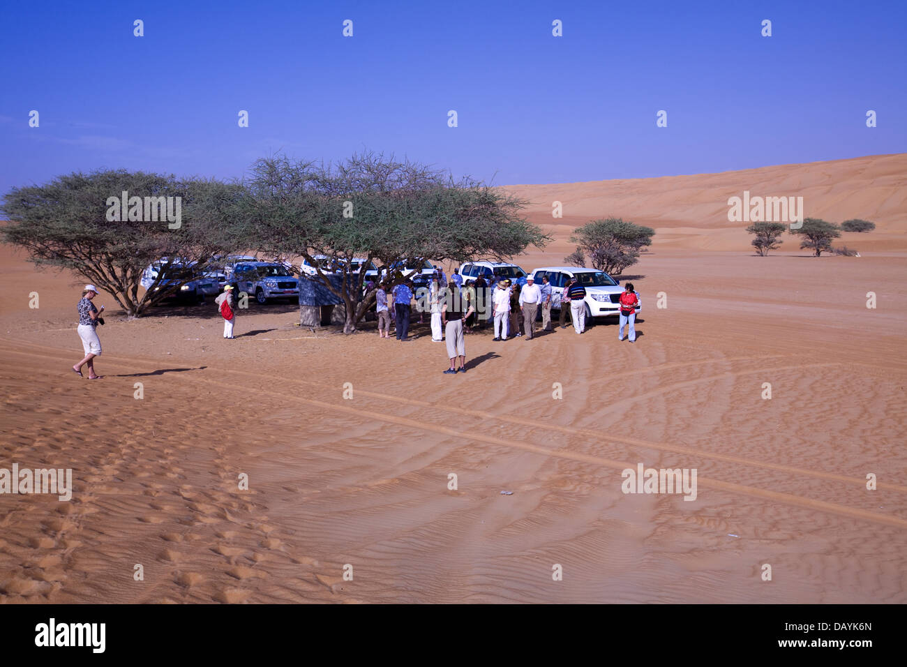Il Sharqiya (fomerly) Wahiba Sands, sono una destinazione popolare per 4WD Safari originari di una delle due città in Oman. Foto Stock