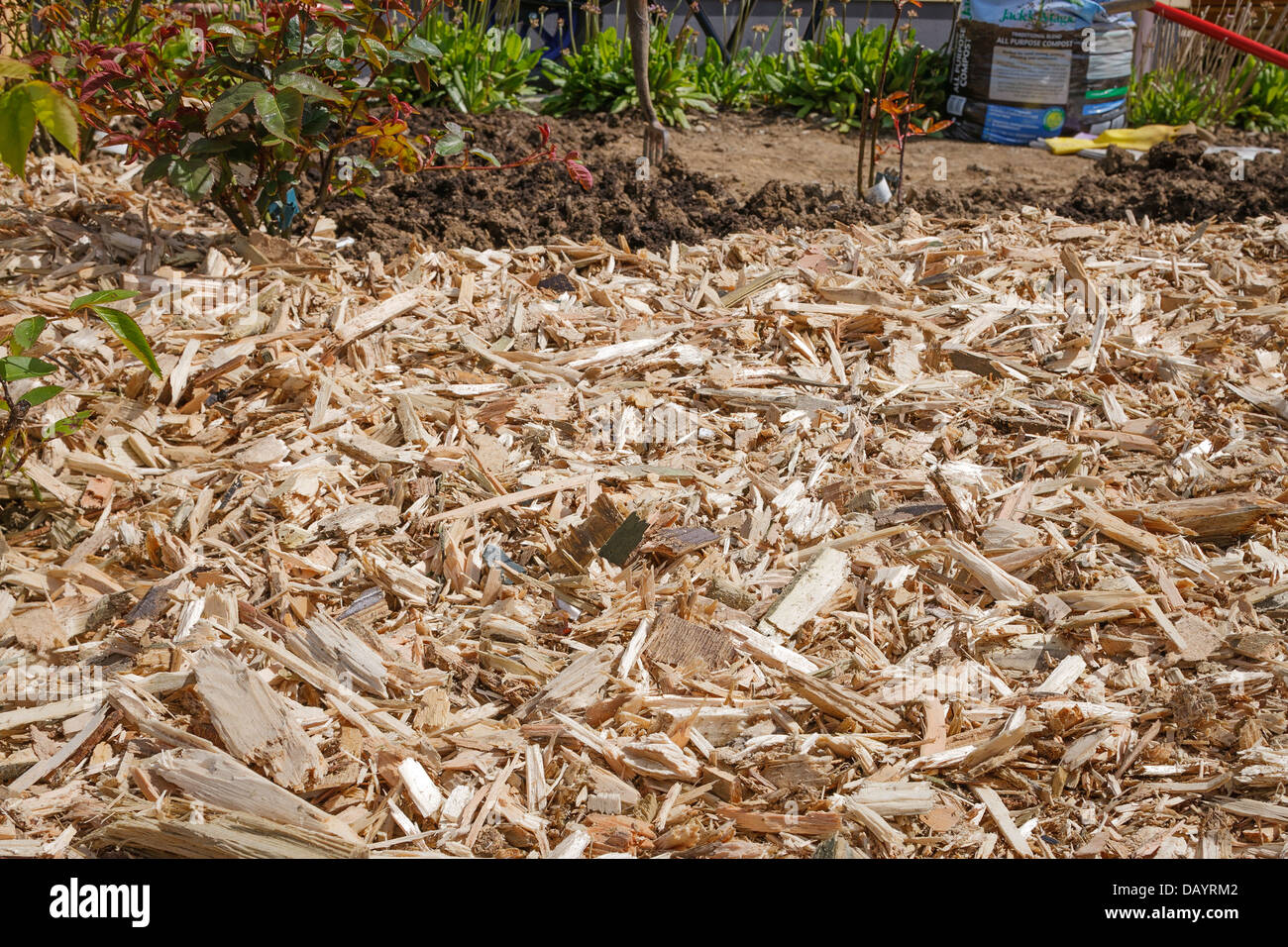 Chip di legno come un telone in giardino Foto Stock