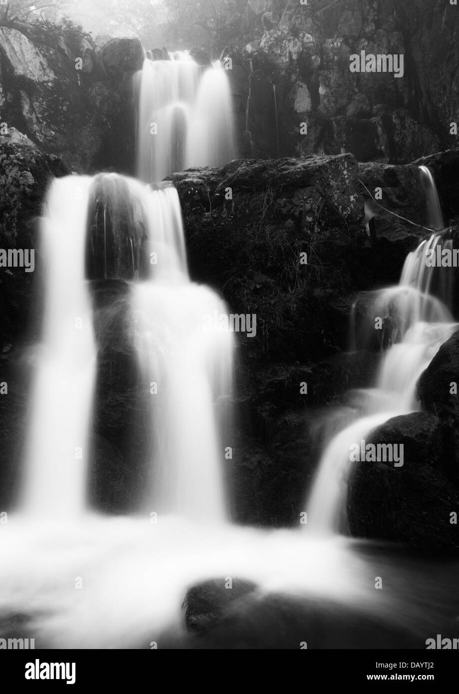 Immagine in bianco e nero di Doyle superiore del fiume cade in un giorno di primavera nel Parco Nazionale di Shenandoah, Virginia. Foto Stock