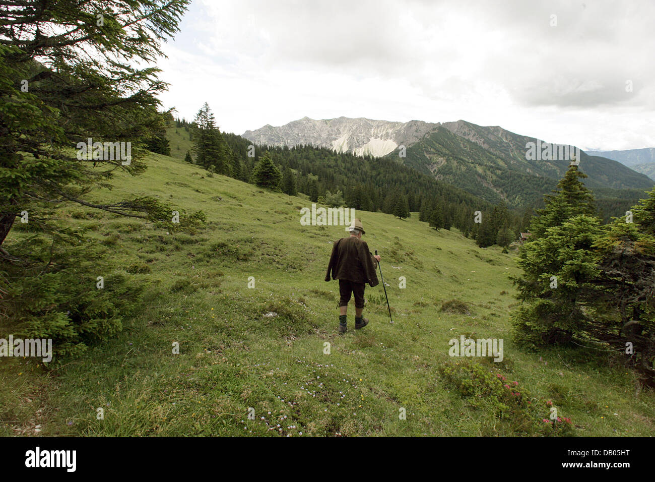 Un escursionista in abiti tradizionali escursioni in un prato a 1.700 metri sopra il livello del mare in la bavarese colline ai piedi delle Alpi vicino al lago Spitzing, Germania, 26 giugno 2007. Foto: Peter Kneffel Foto Stock