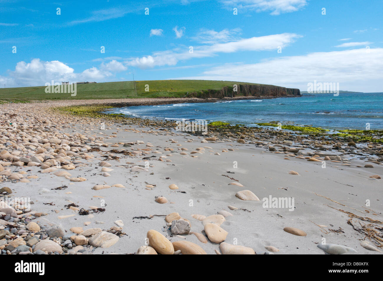 Dingieshowe o Taracliff baia tra Deerness e il resto del continente, Orkney. Foto Stock