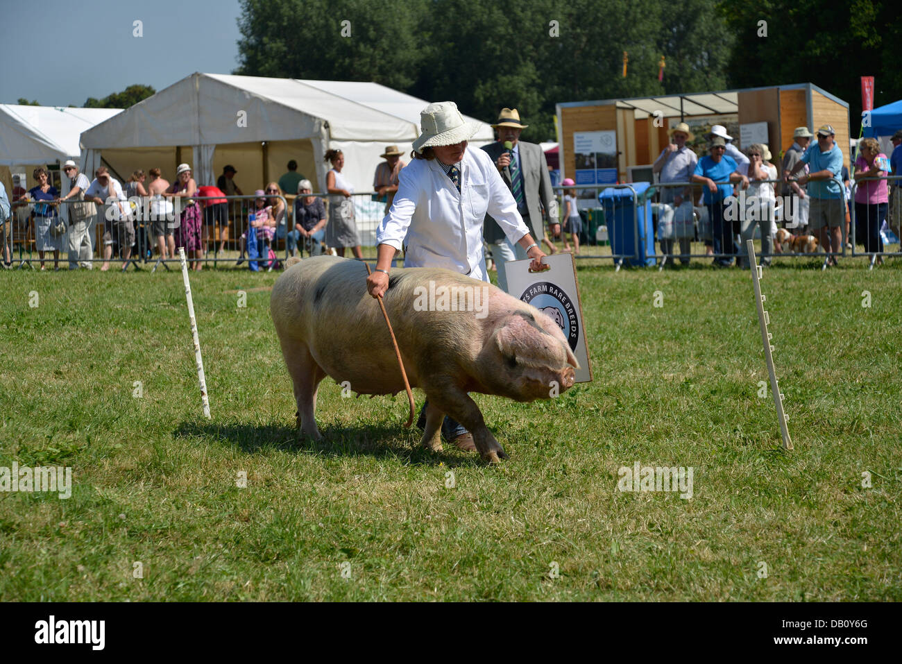 Gestione di maiale al Cotswold visualizza Foto Stock