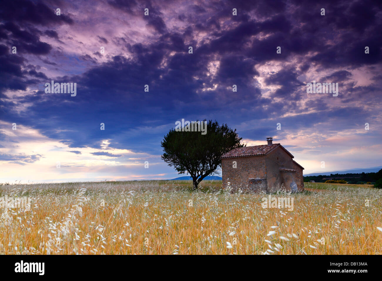 Una casa in un campo di grano, Francia Foto Stock