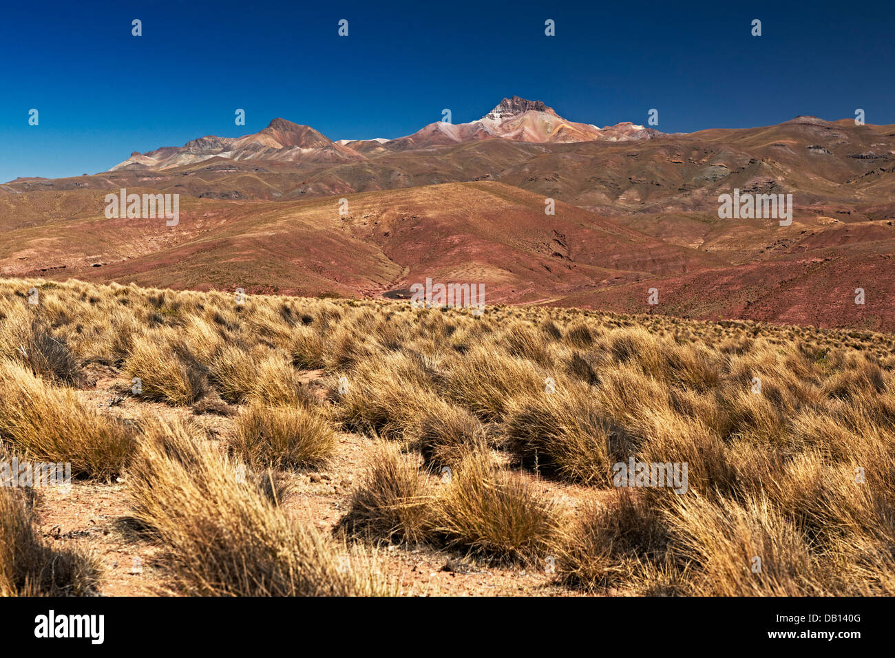 Reserva Nacional de fauna Andina Eduardo Abaroa, Bolivia, Sud America Foto Stock