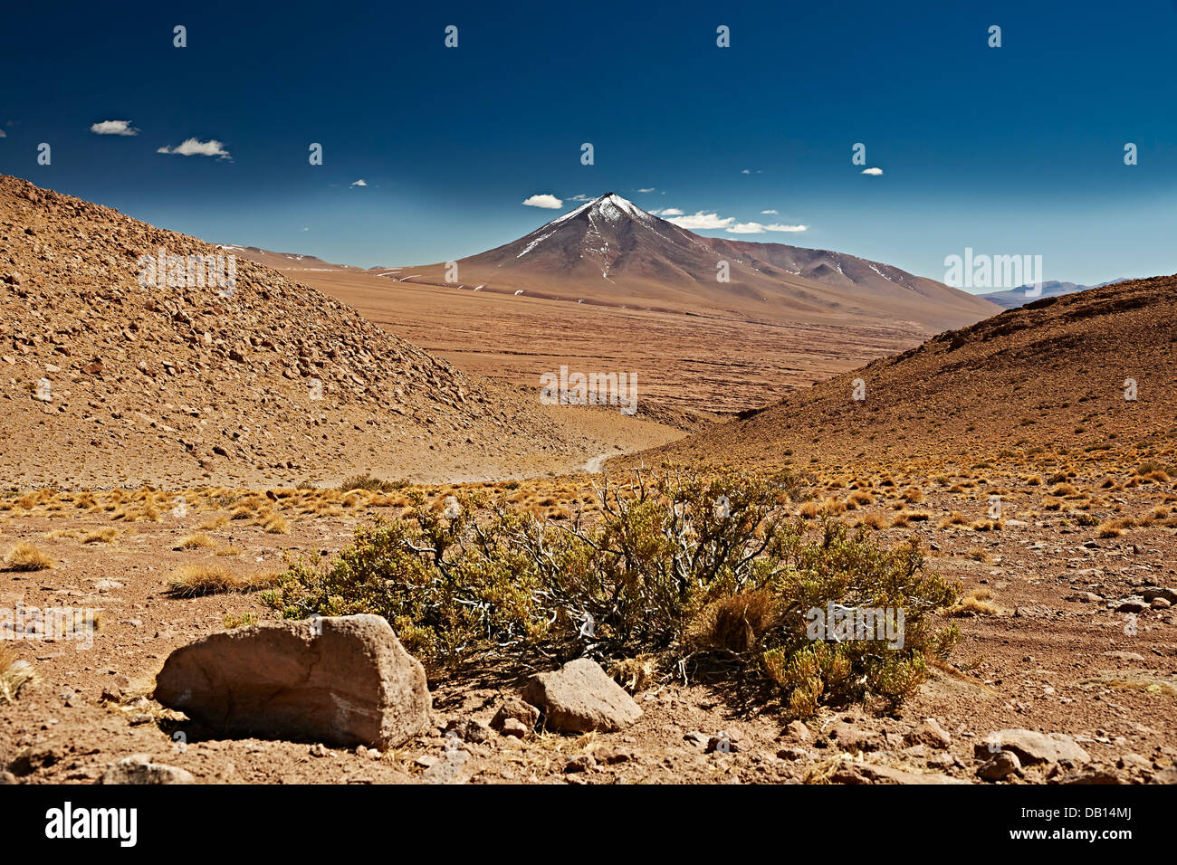 Reserva Nacional de fauna Andina Eduardo Abaroa, Bolivia, Sud America Foto Stock